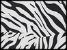 FSIA_ZEBRA