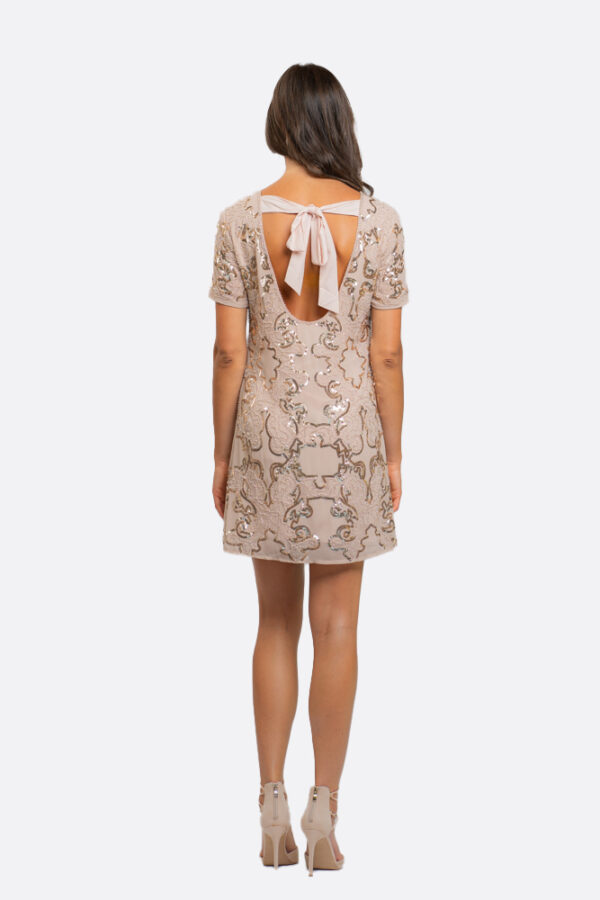 Paillettes Embrodery Dress - Image 3