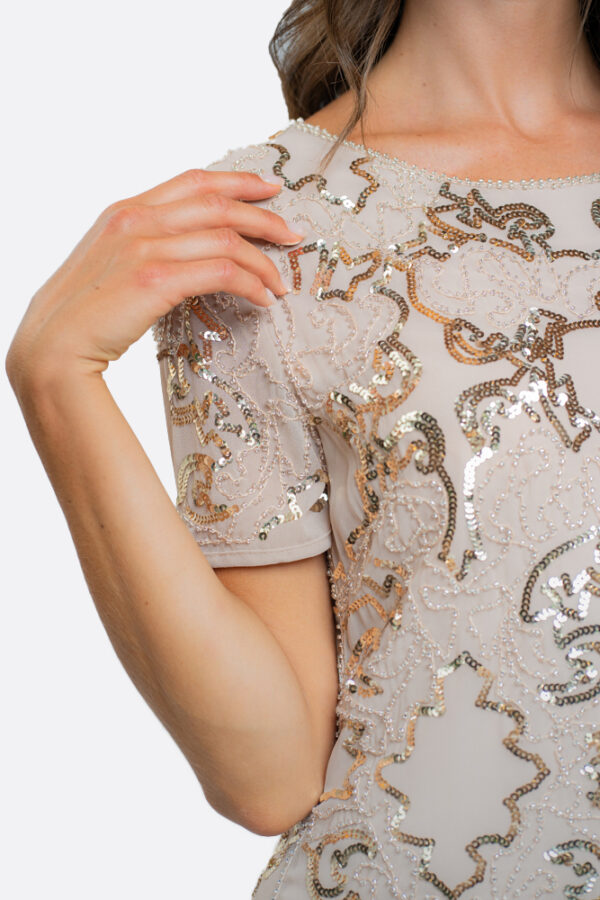 Paillettes Embrodery Dress - Image 4