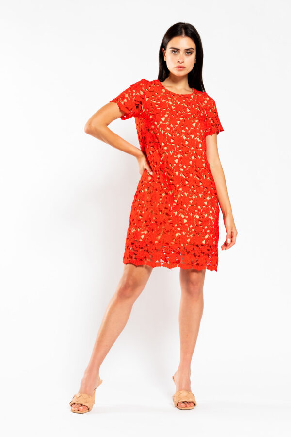 Half Sleeves Lace Dress - Image 3