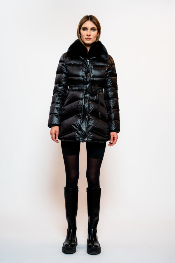 223SS015_1.jpg