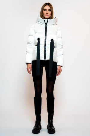 223SS017_1.jpg