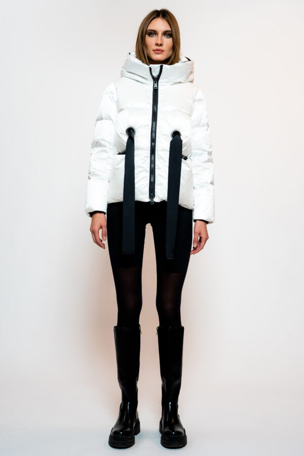 223SS017_1.jpg