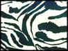 FSIA_ZEBRAAVORIO