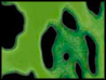 LEO_VERDE