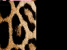 LEOPARD_LICORICE