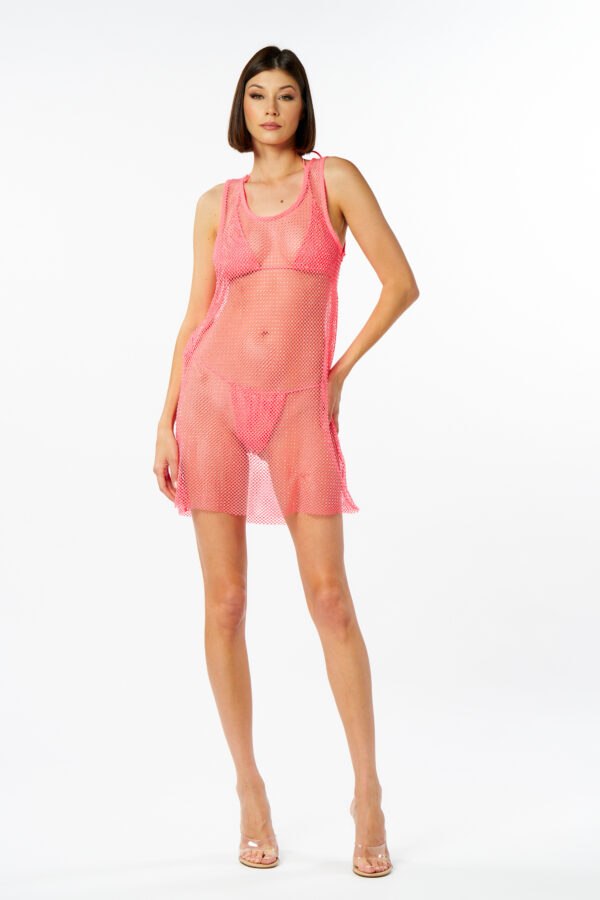 Net Dress