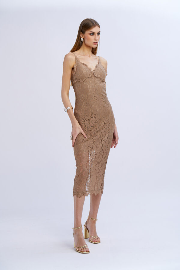 Lace Sheath Dress