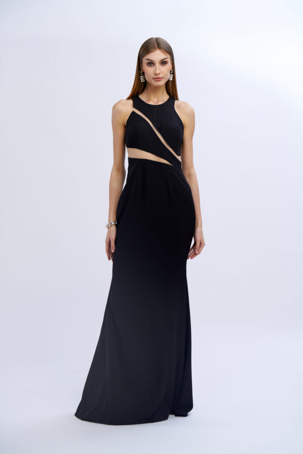 Grand Gala Dress with Transparencies - Image 4