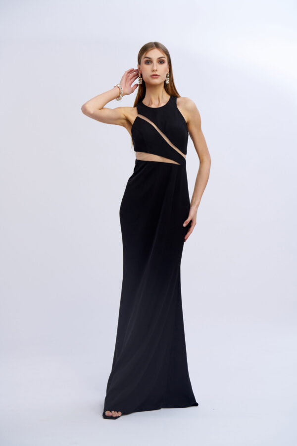 Grand Gala Dress with Transparencies - Image 5
