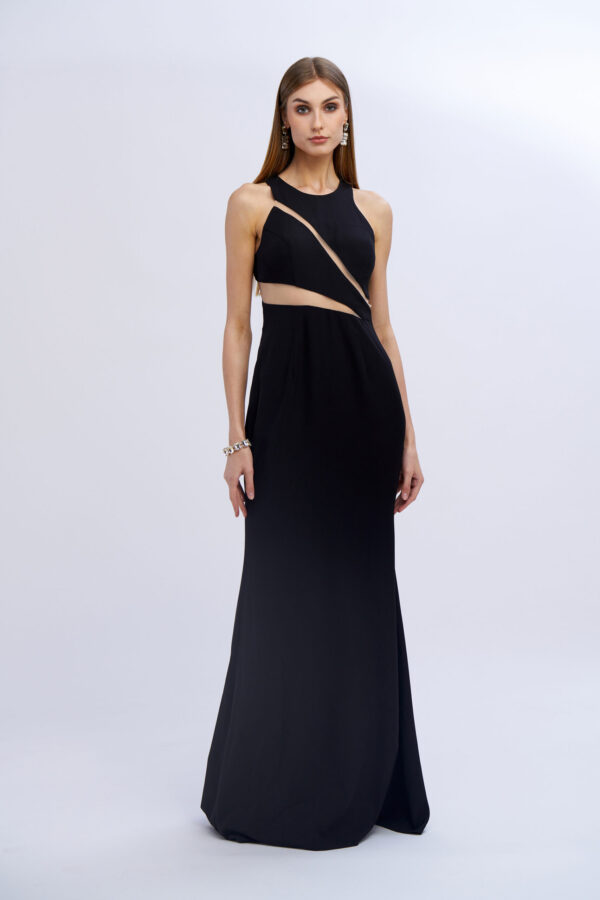 Grand Gala Dress with Transparencies - Image 6