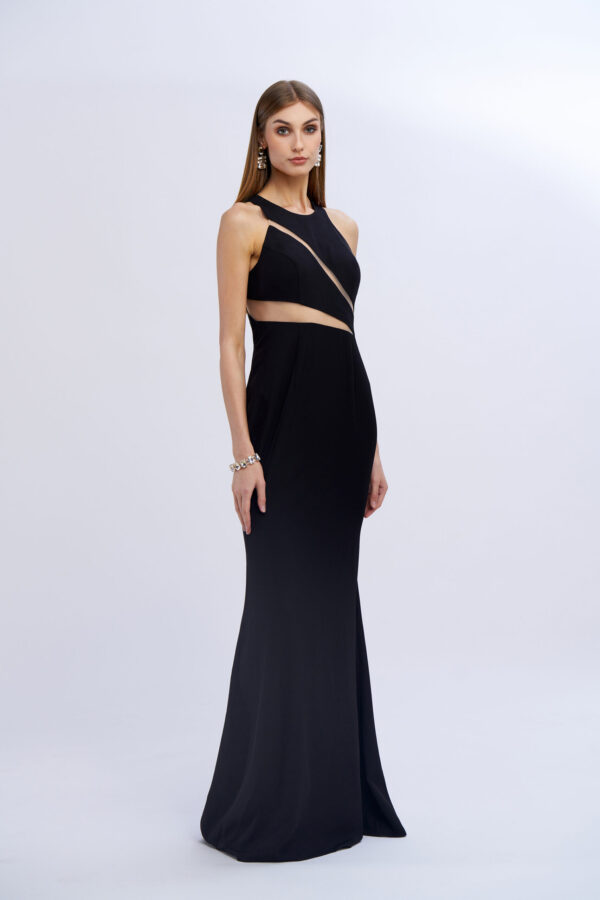 Grand Gala Dress with Transparencies - Image 7