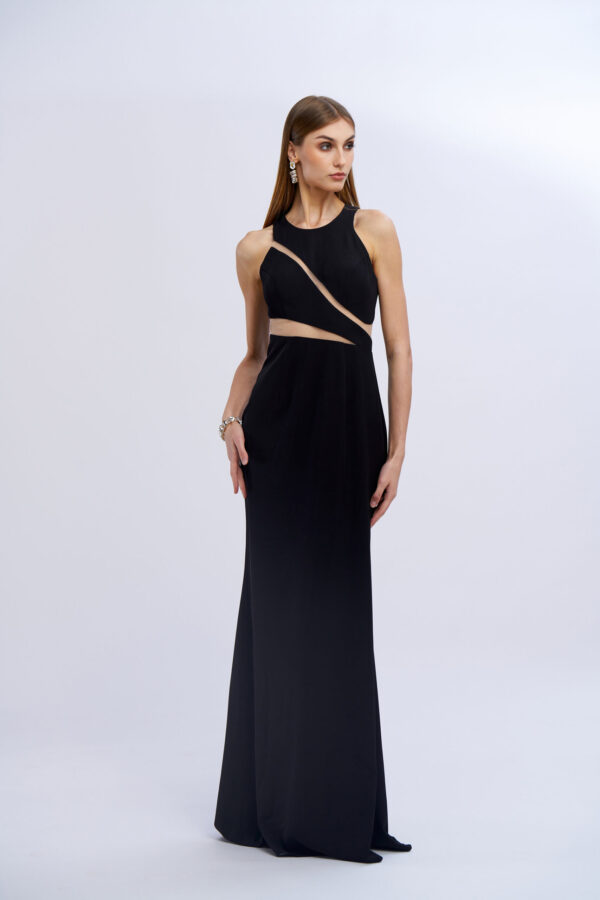 Grand Gala Dress with Transparencies - Image 9
