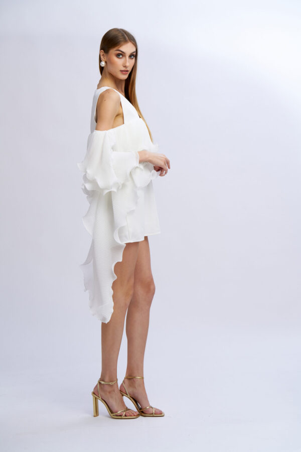 Ruffled Dress - Image 9