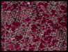 FUXIA_MULTICOLOUR